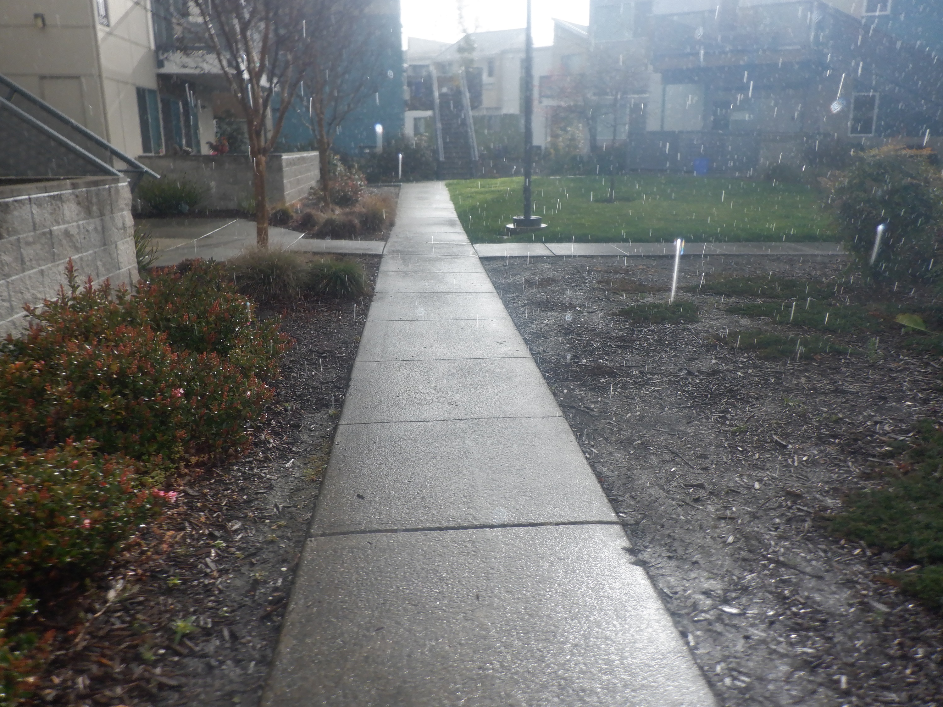 Photo taken by me 2-23-24