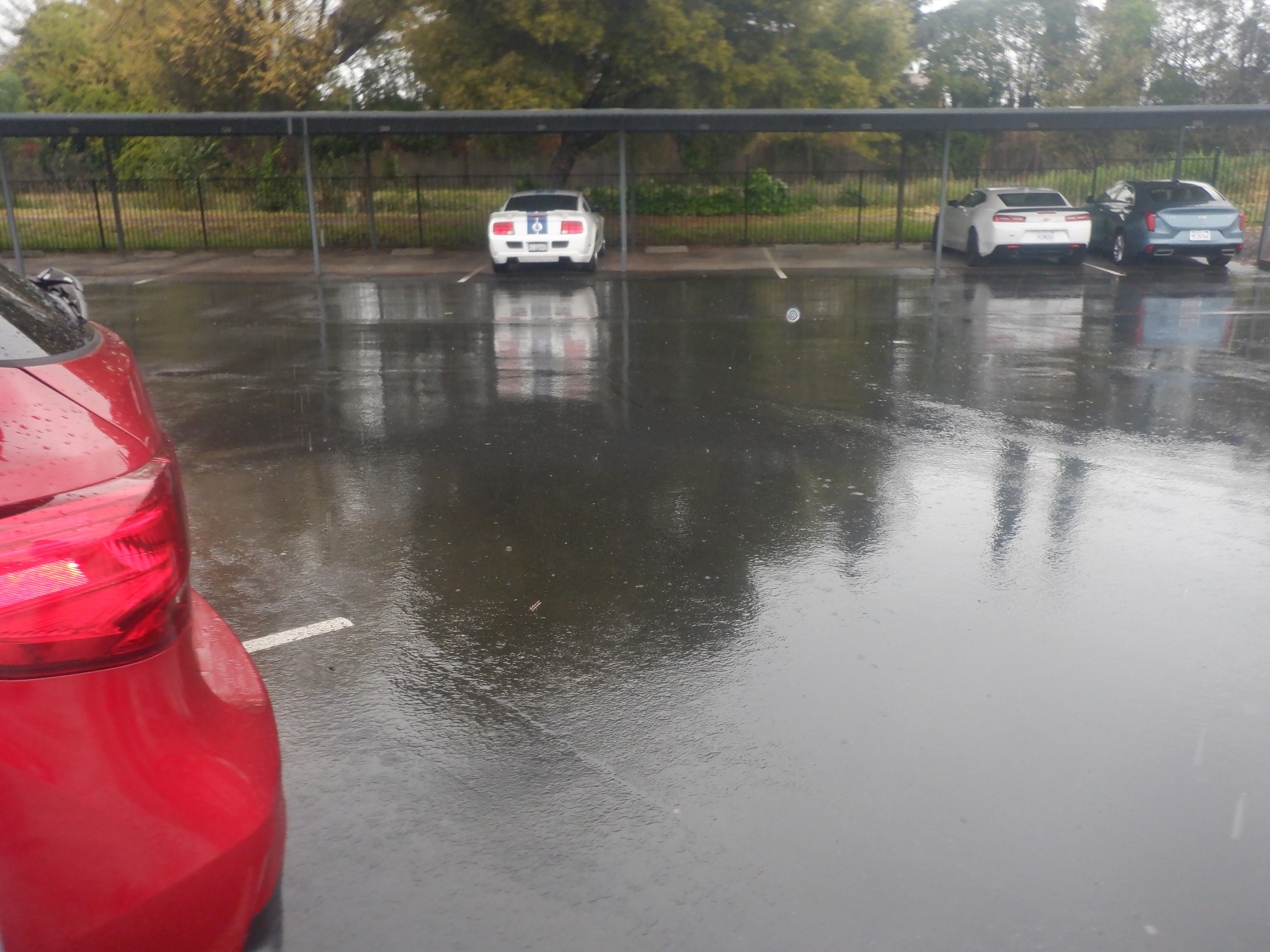 Photo I took at the back of the complex Photo I took at the back of the complex