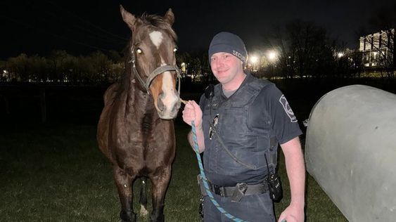 Virginia Tech police officers and horses that ran away from campus.