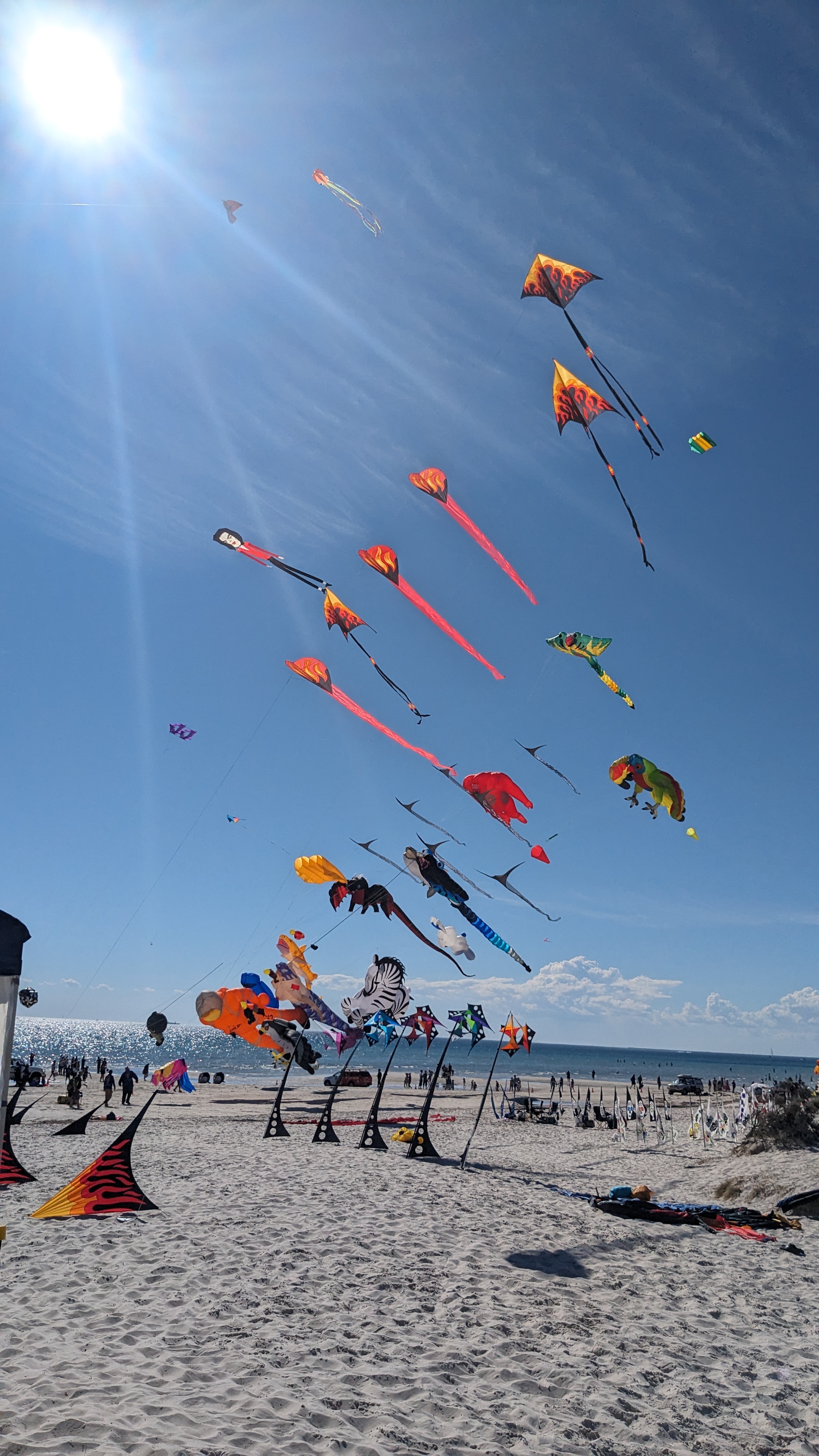 Kites at the beach Kites at the beach