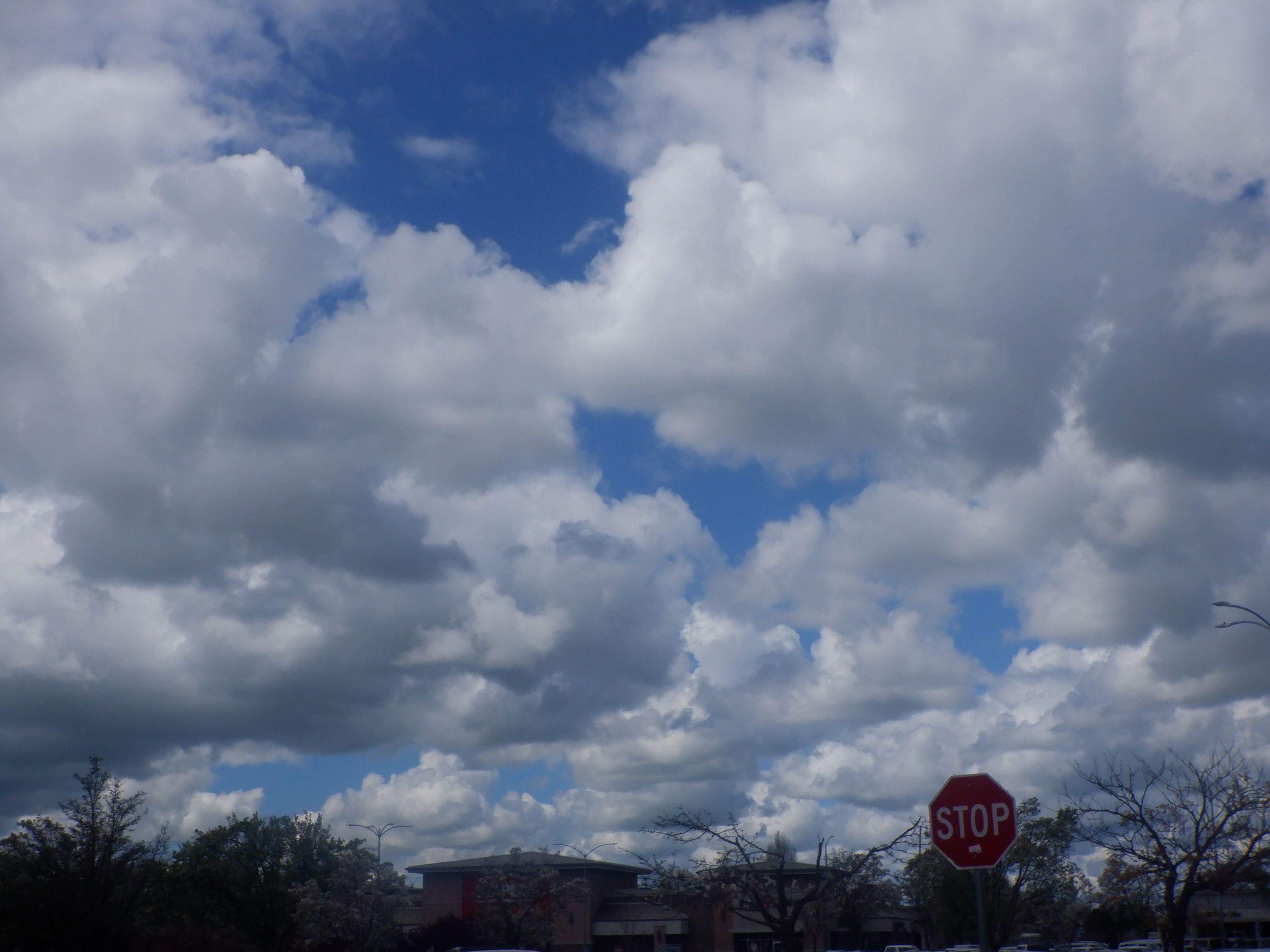 Photo taken by me3-31-24 Photo taken by me3-31-24