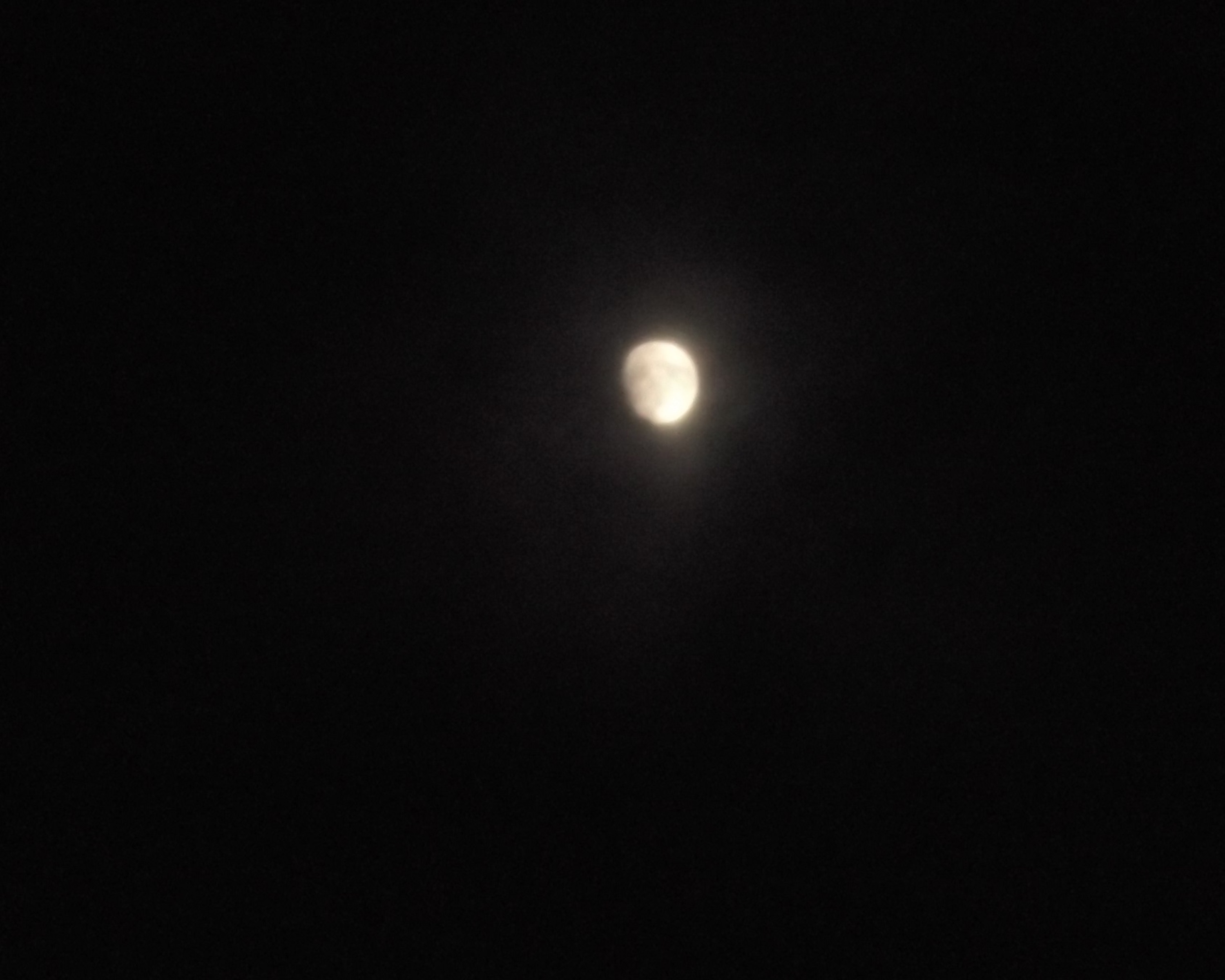 Photo taken by me 11/11/16