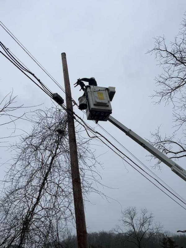 Cat being rescued by employees of Planet Network Cat being rescued by employees of Planet Network