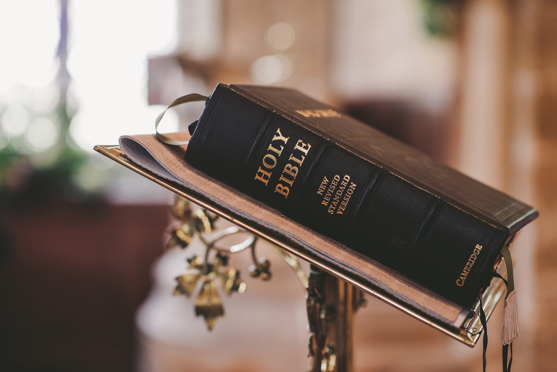 The Bible and life should be treated with right respect The Bible and life should be treated with right respect