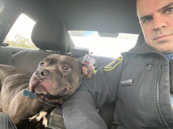 Michigan State Trooper Justin Boczkaja with a dog he rescued. 