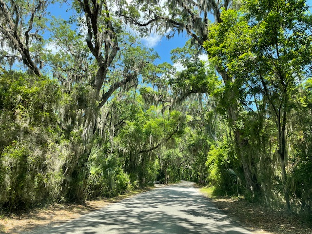 Canopy road in Fort Clinch State Park, Florida.  Photo taken by and the property of FourWalls.
