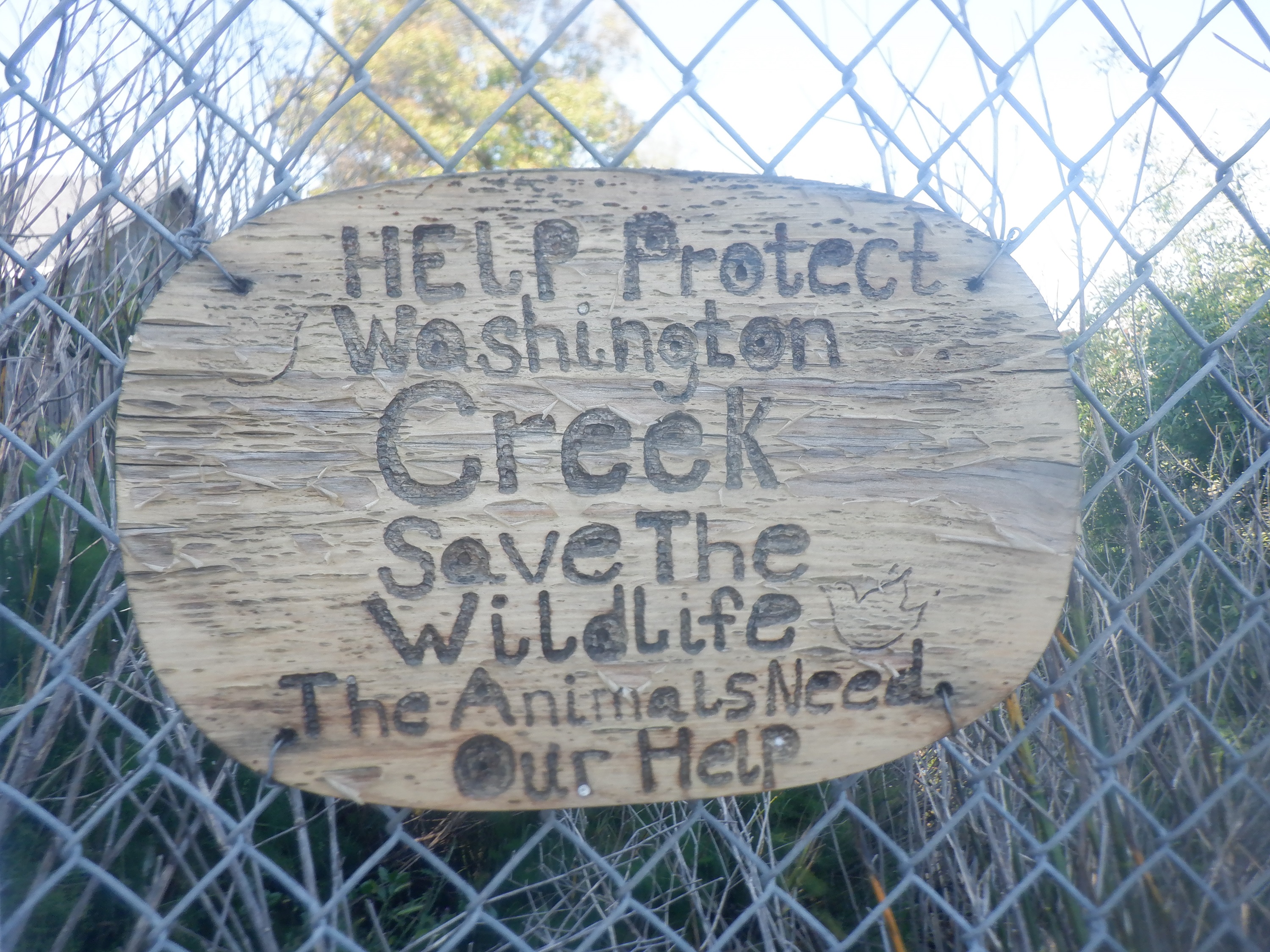 Photo I took outside the creek on my walk