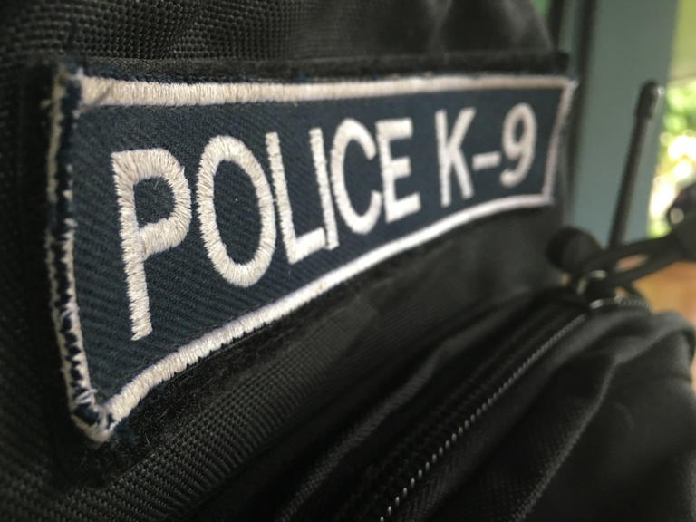Police K9 badge in Greenwood Village Colorado