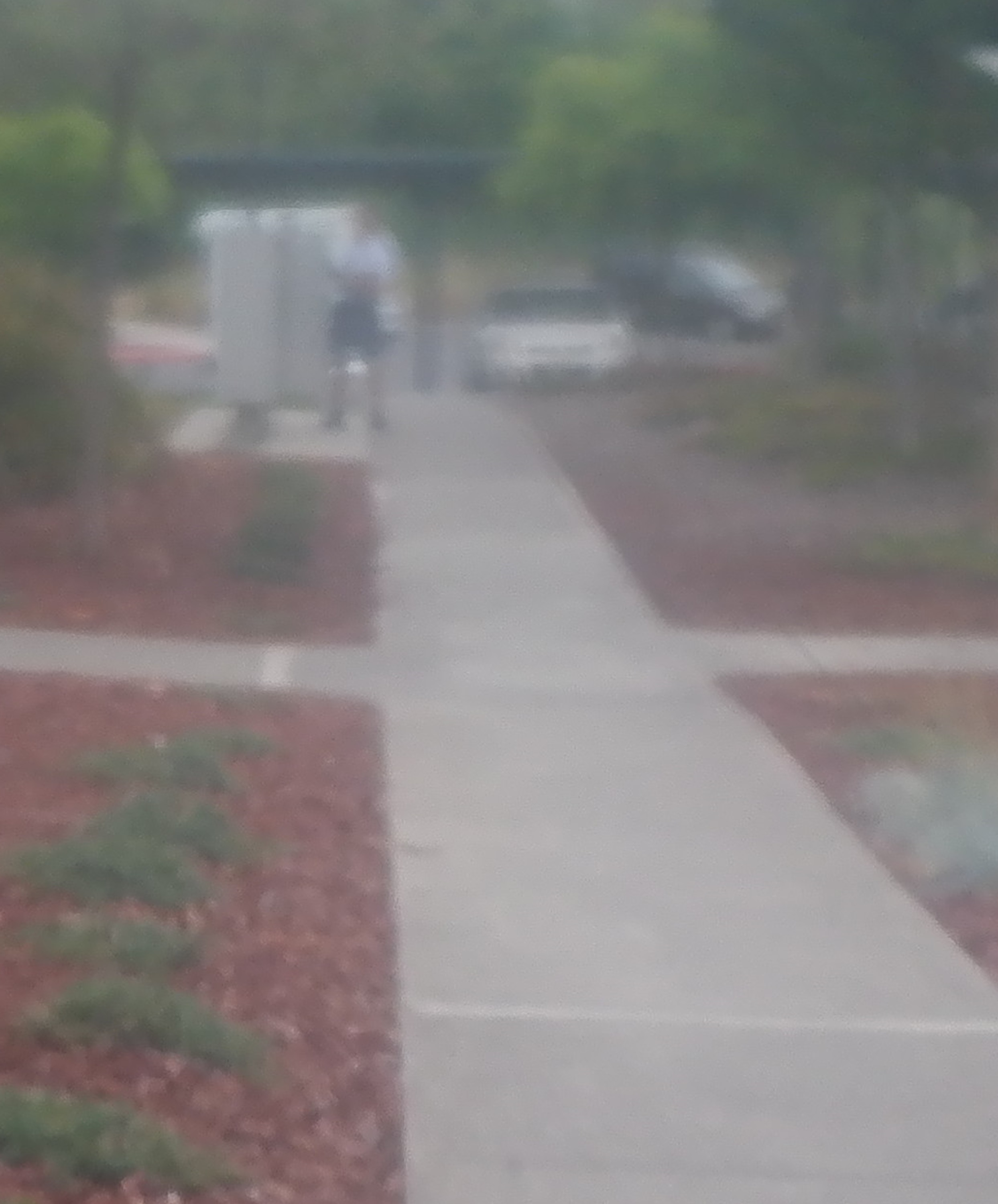 Photo I took when I saw the mailman on my walk