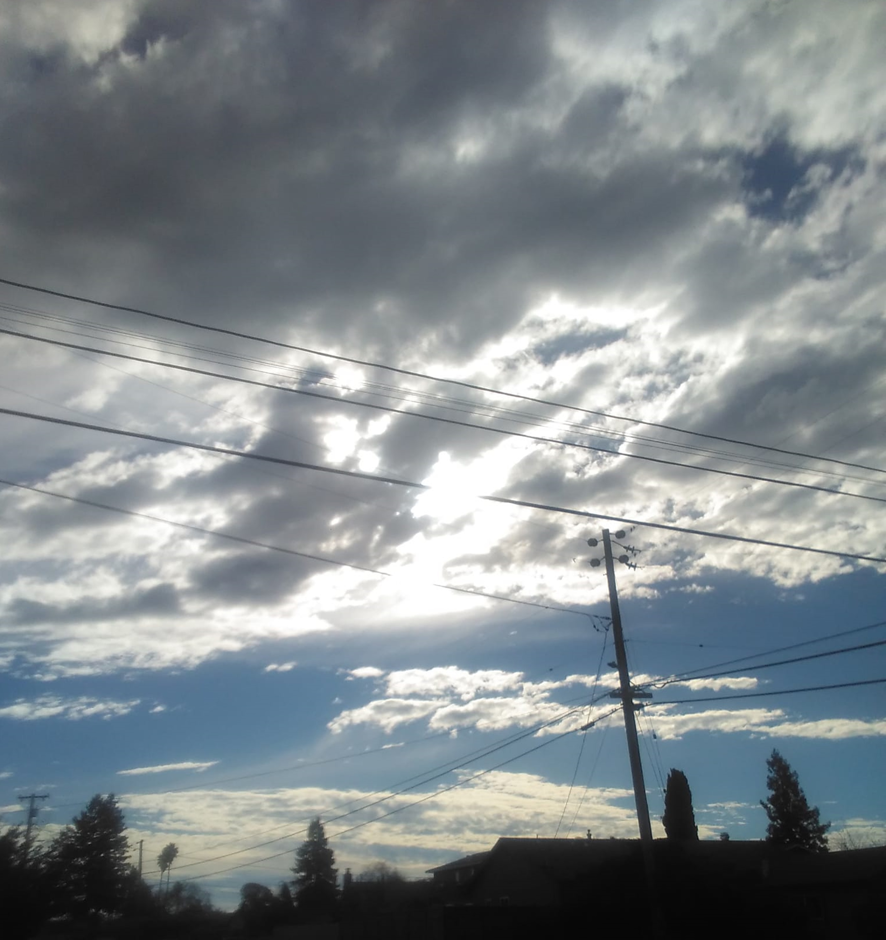 Photo taken by me 1-28-24