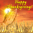 happy Thanksgiving - happy Thanksgiving