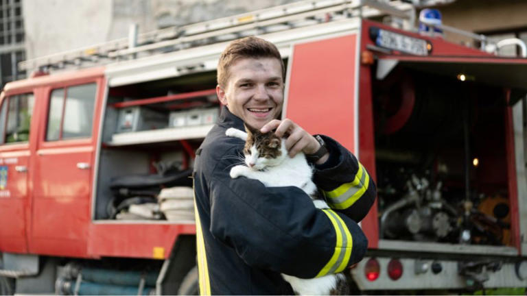 Cleveland firefighter poses with a kitten named Sparta