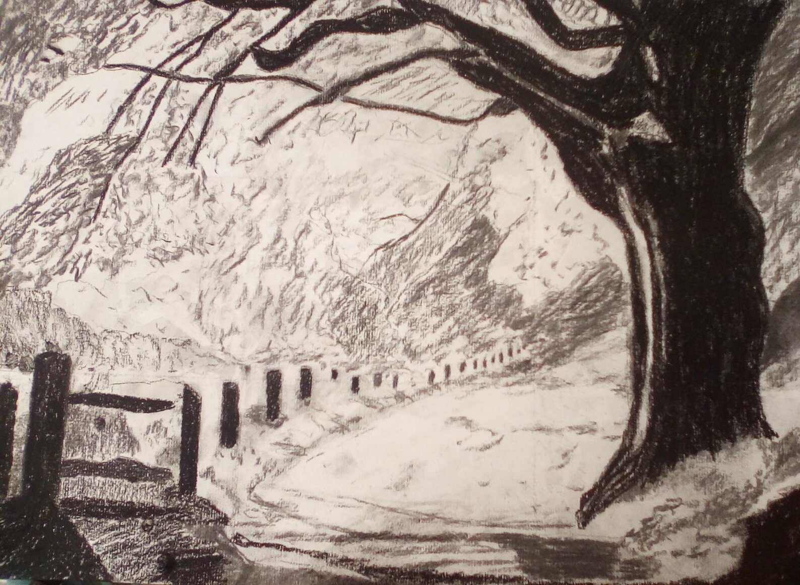Landscape with tree charcoal drawing. Landscape with tree charcoal drawing.