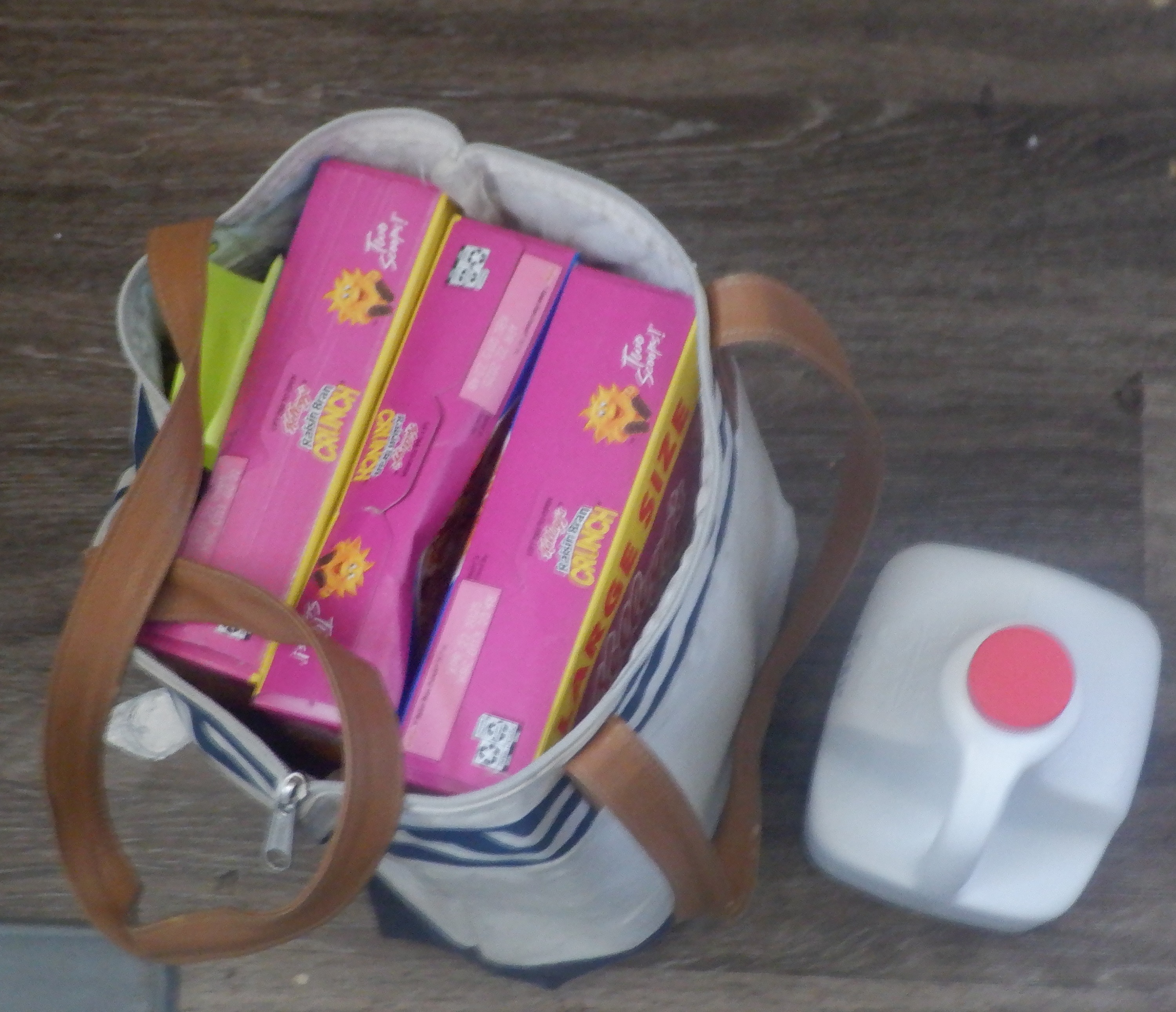 Photo I took of my exciting groceries Photo I took of my exciting groceries