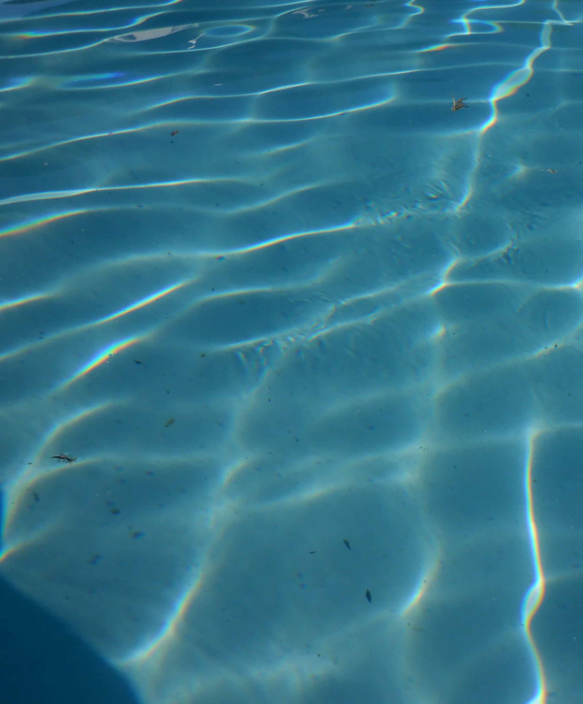 Photo I took this morning at the pool Photo I took this morning at the pool
