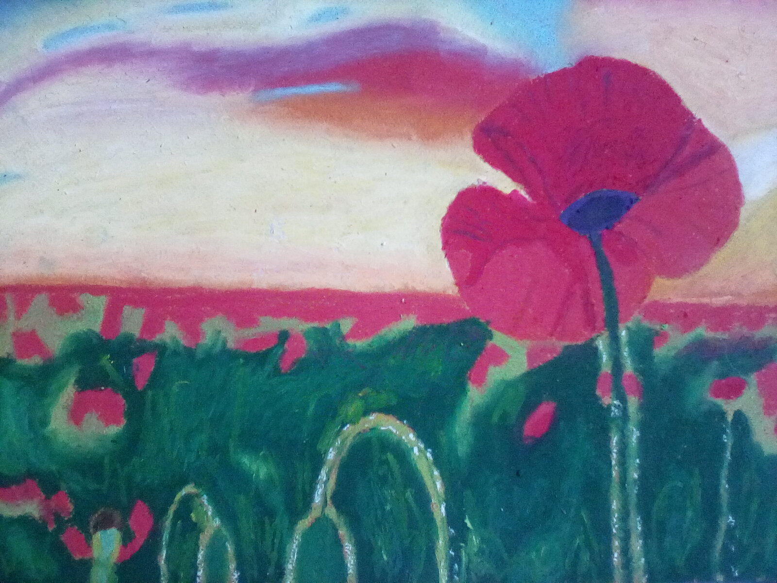 Poppy field in oil pastels. Poppy field in oil pastels.