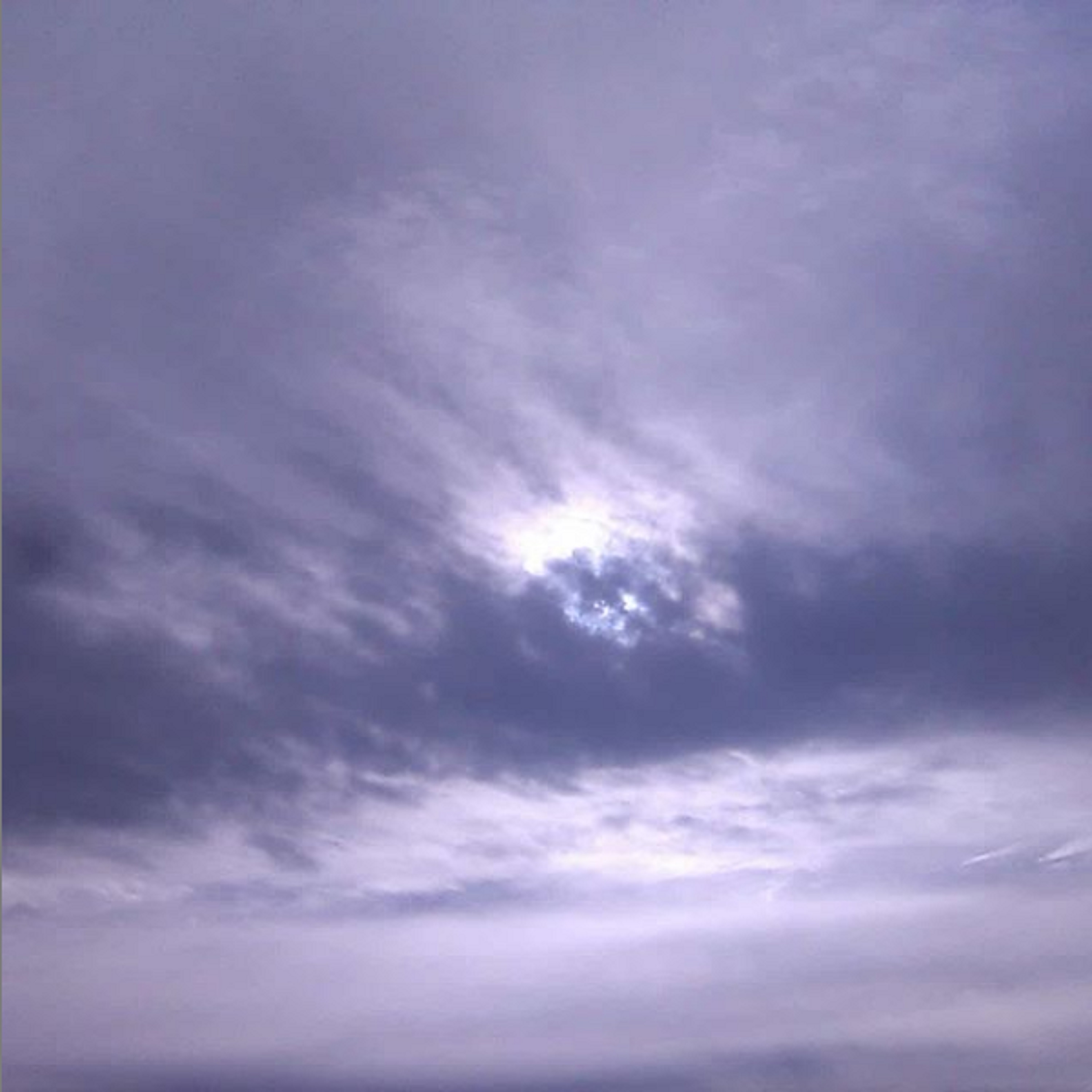 Photo taken by me 1-19-20 Photo taken by me 1-19-20