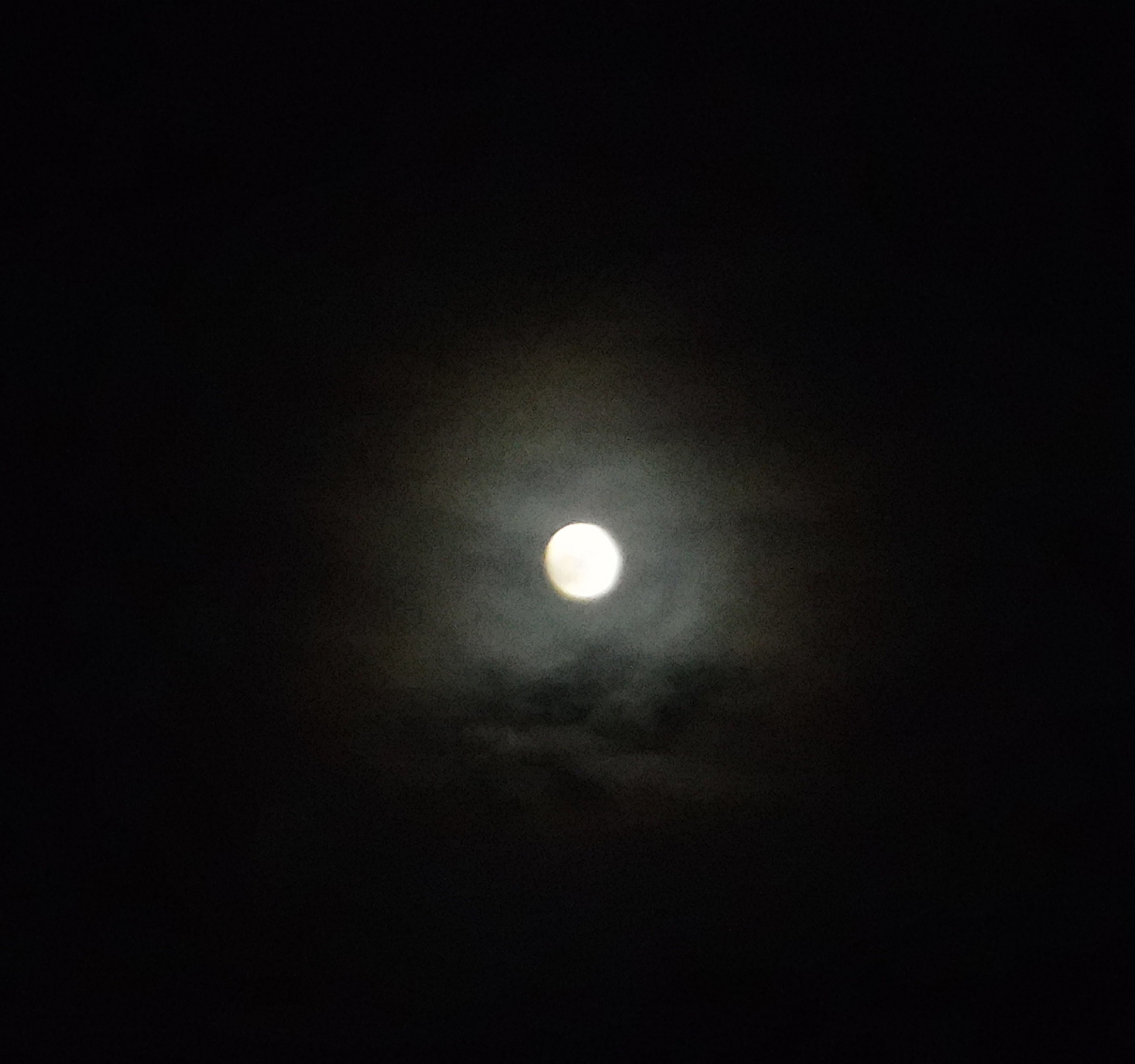 Photo taken 11-21-18 Photo taken 11-21-18