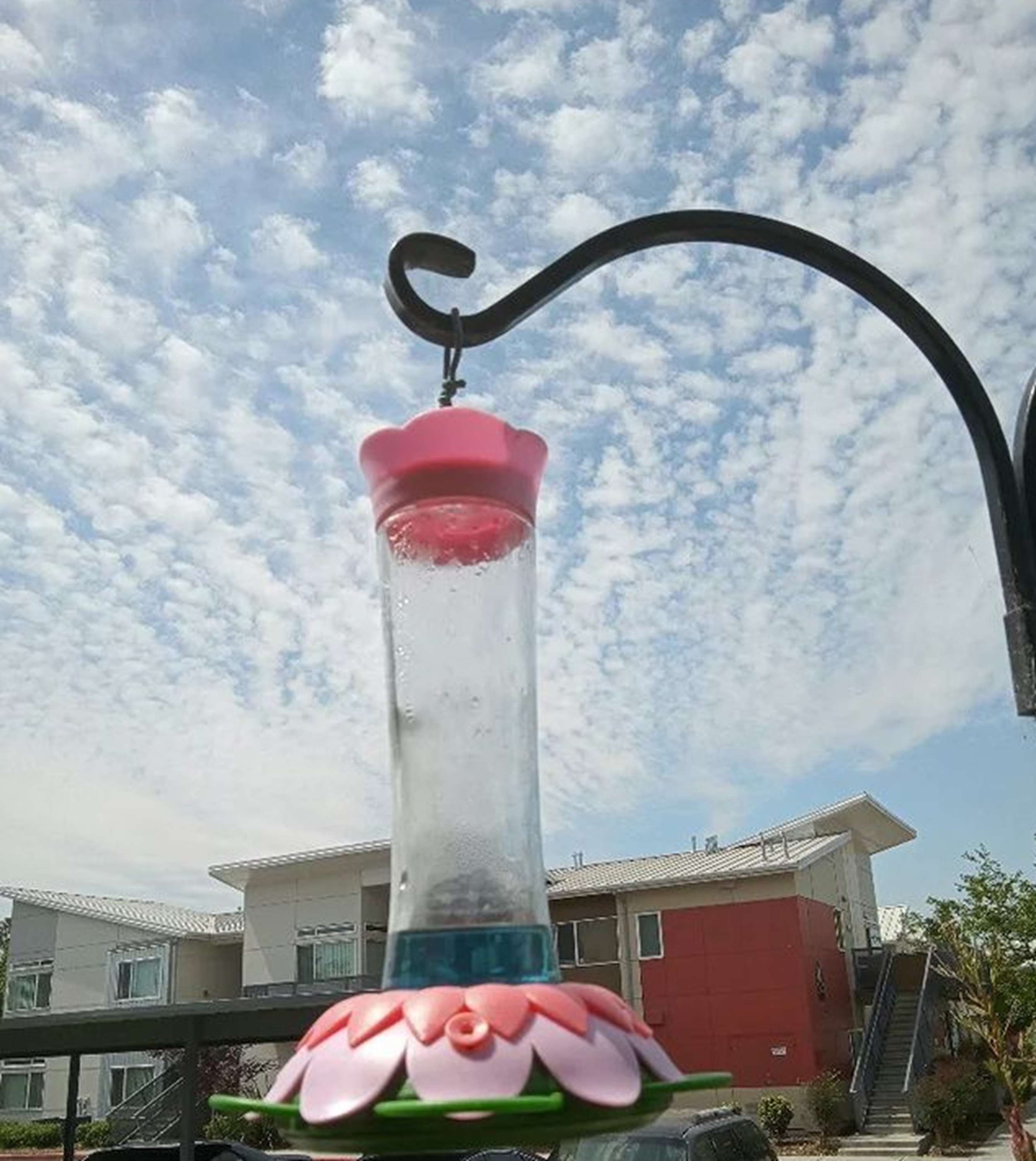 Photo I took of the hummingbird feeder when I got home