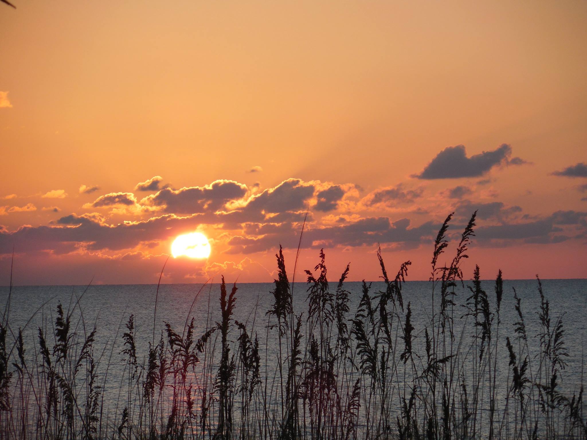 Sunset in the Bay Sunset in the Bay