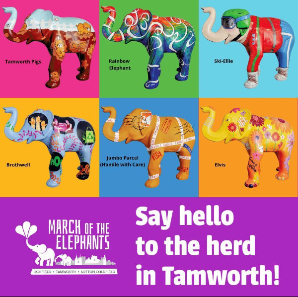 The herd in Tamworth.