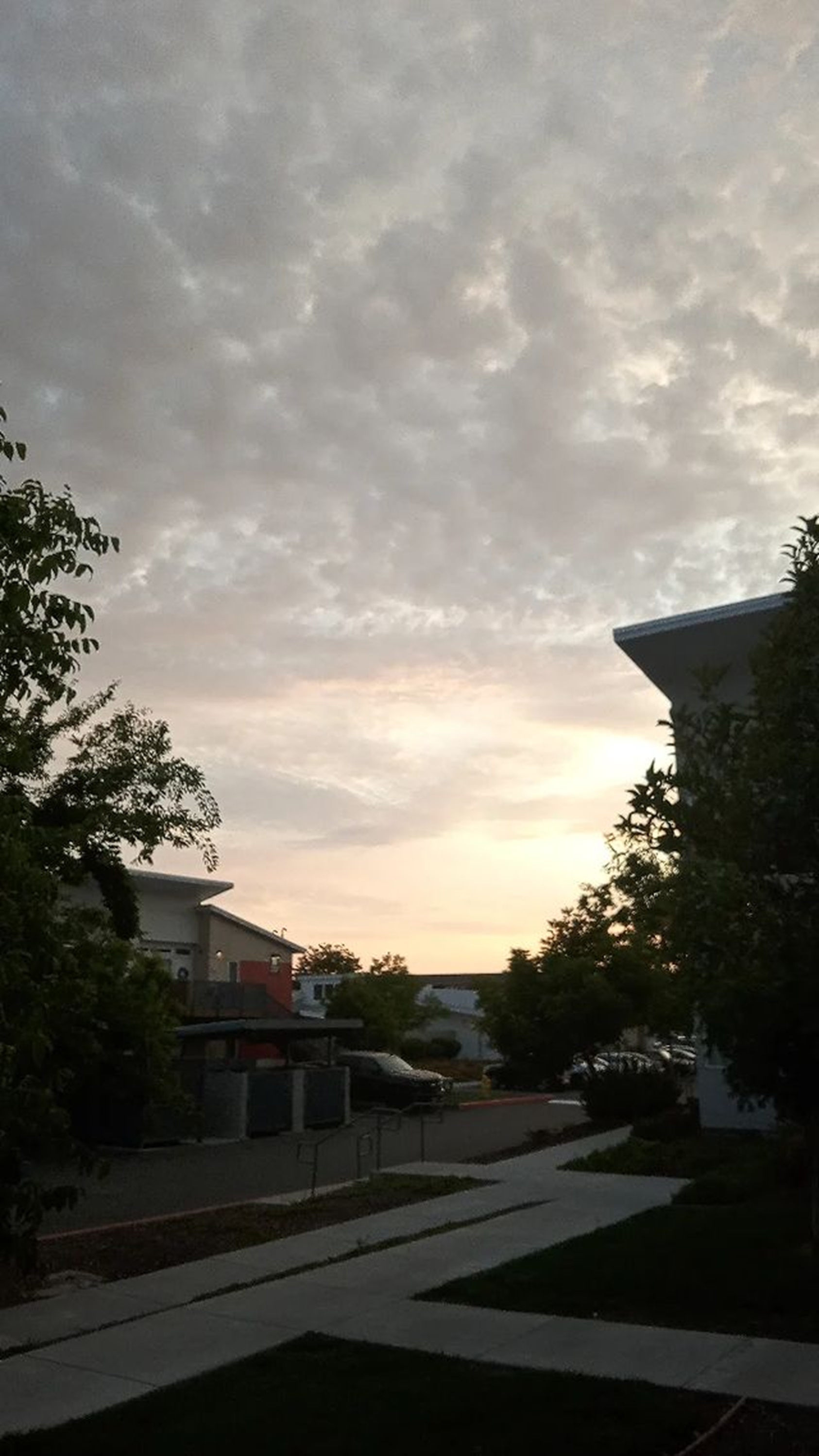 Photo taken by me this evening Photo taken by me this evening
