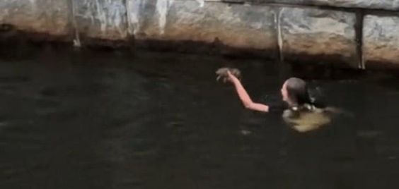 A female rescues a rabbit that was struggling to stay afloat in the Providence River A female rescues a rabbit that was struggling to stay afloat in the Providence River