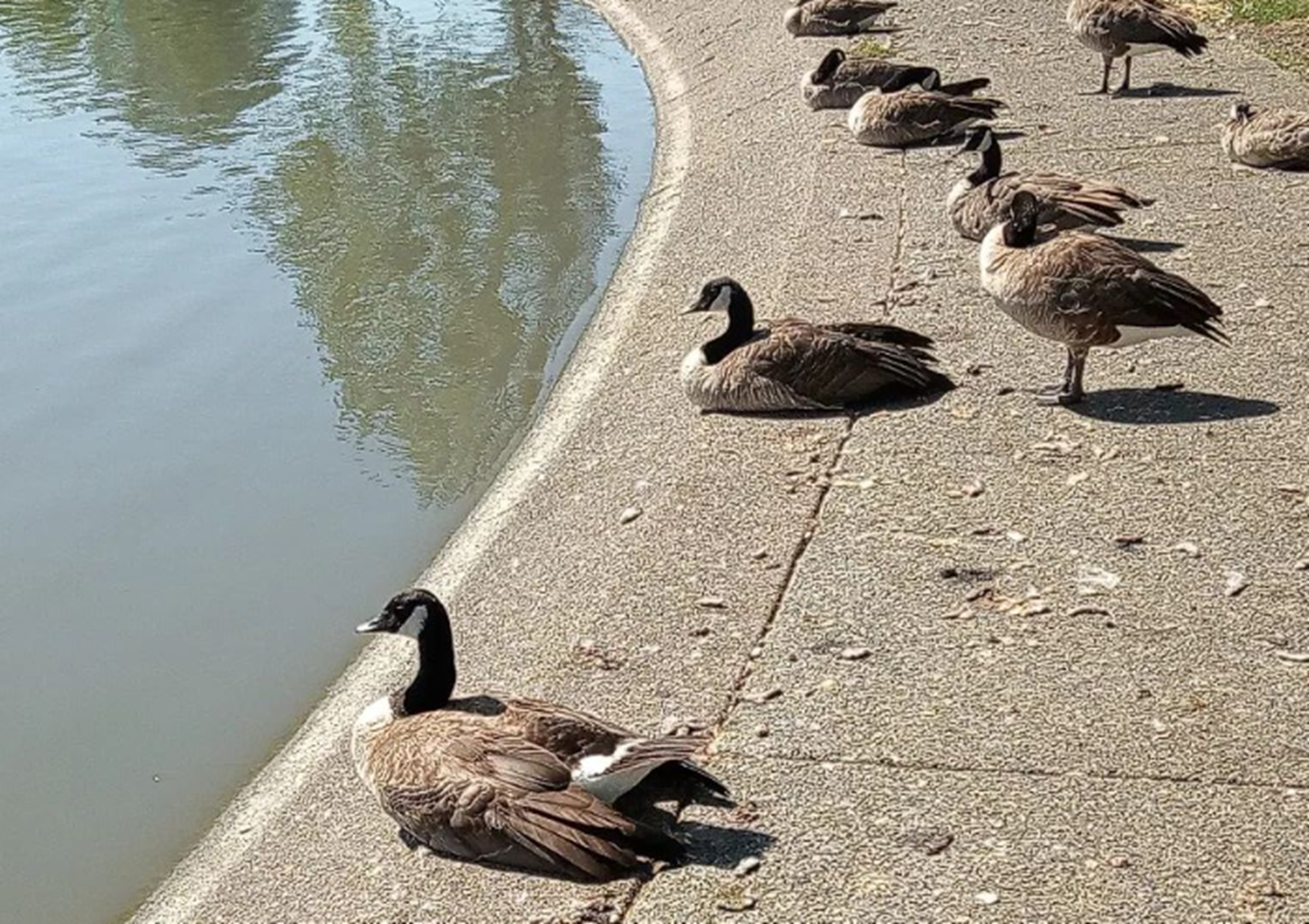 Photo I took this morning at the park. 