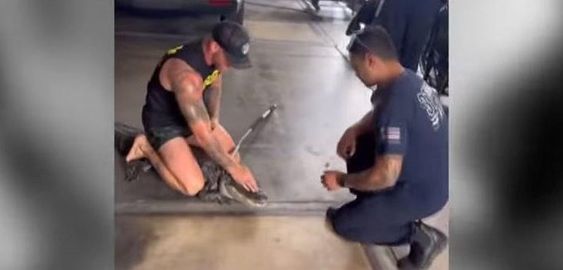 Mike Dragich wrestles an alligator inside of a fire station in Jacksonville Florida