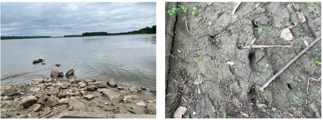 The rivers meet, and the cub’s tracks. Photos taken by and the property of FourWalls. The rivers meet, and the cub’s tracks. Photos taken by and the property of FourWalls.
