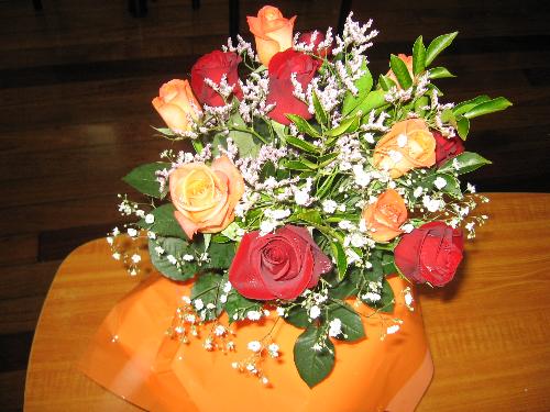 Roses - Roses