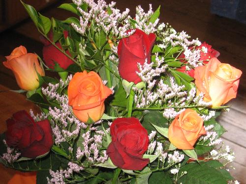 Roses - Roses