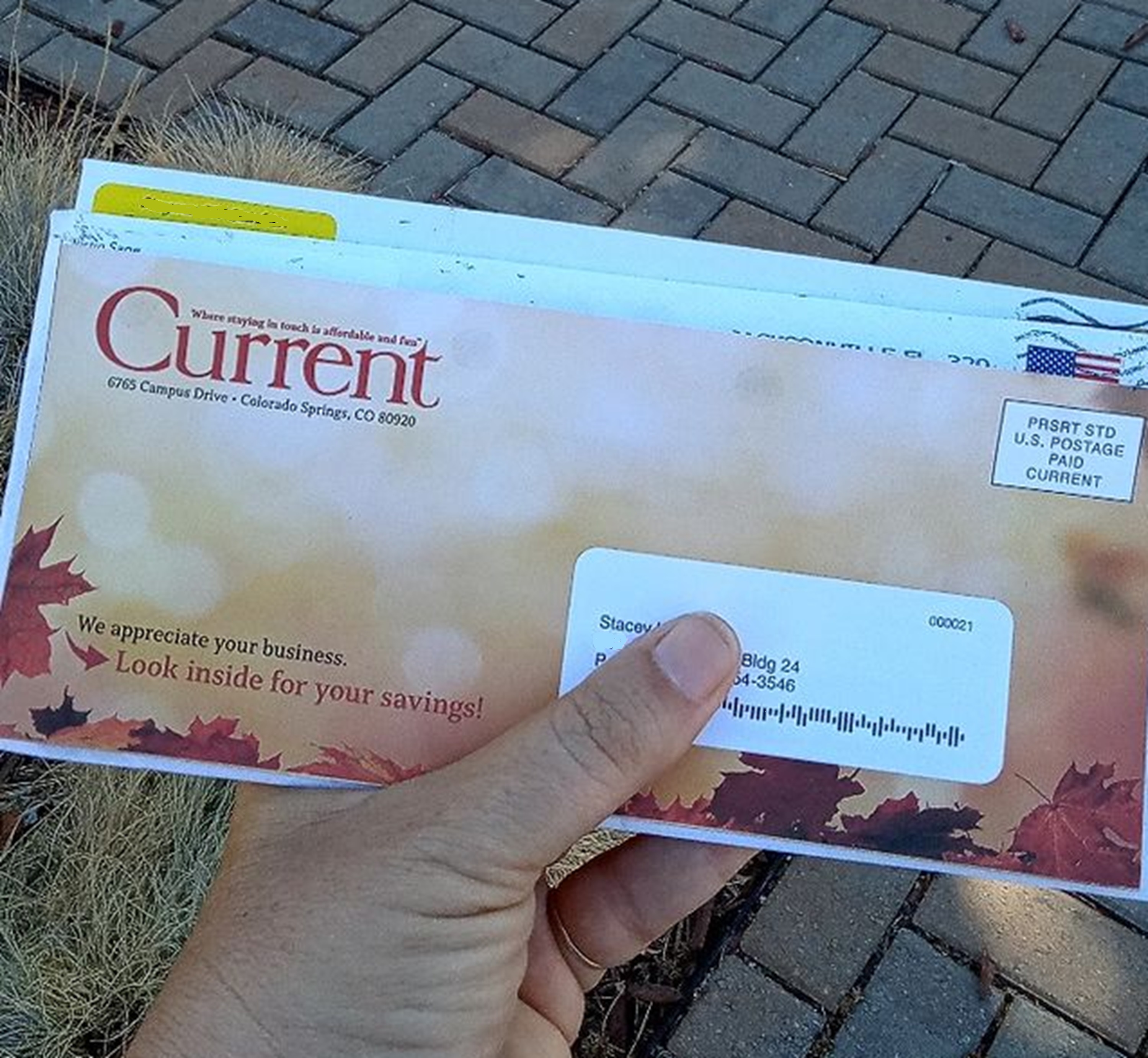 Photo I took of my not-so-bad mail Photo I took of my not-so-bad mail