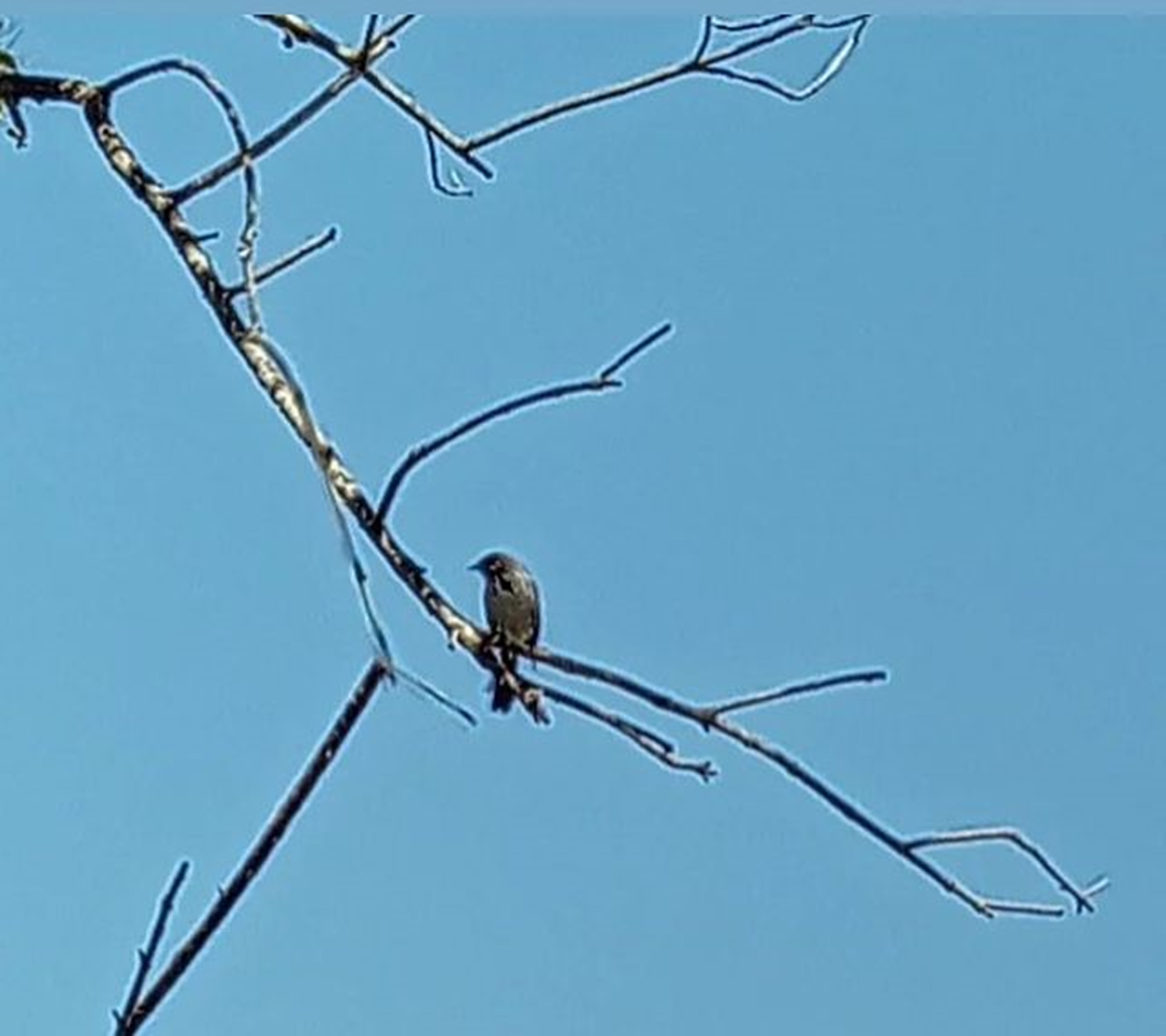 Photo taken by me 2022 Photo taken by me 2022
