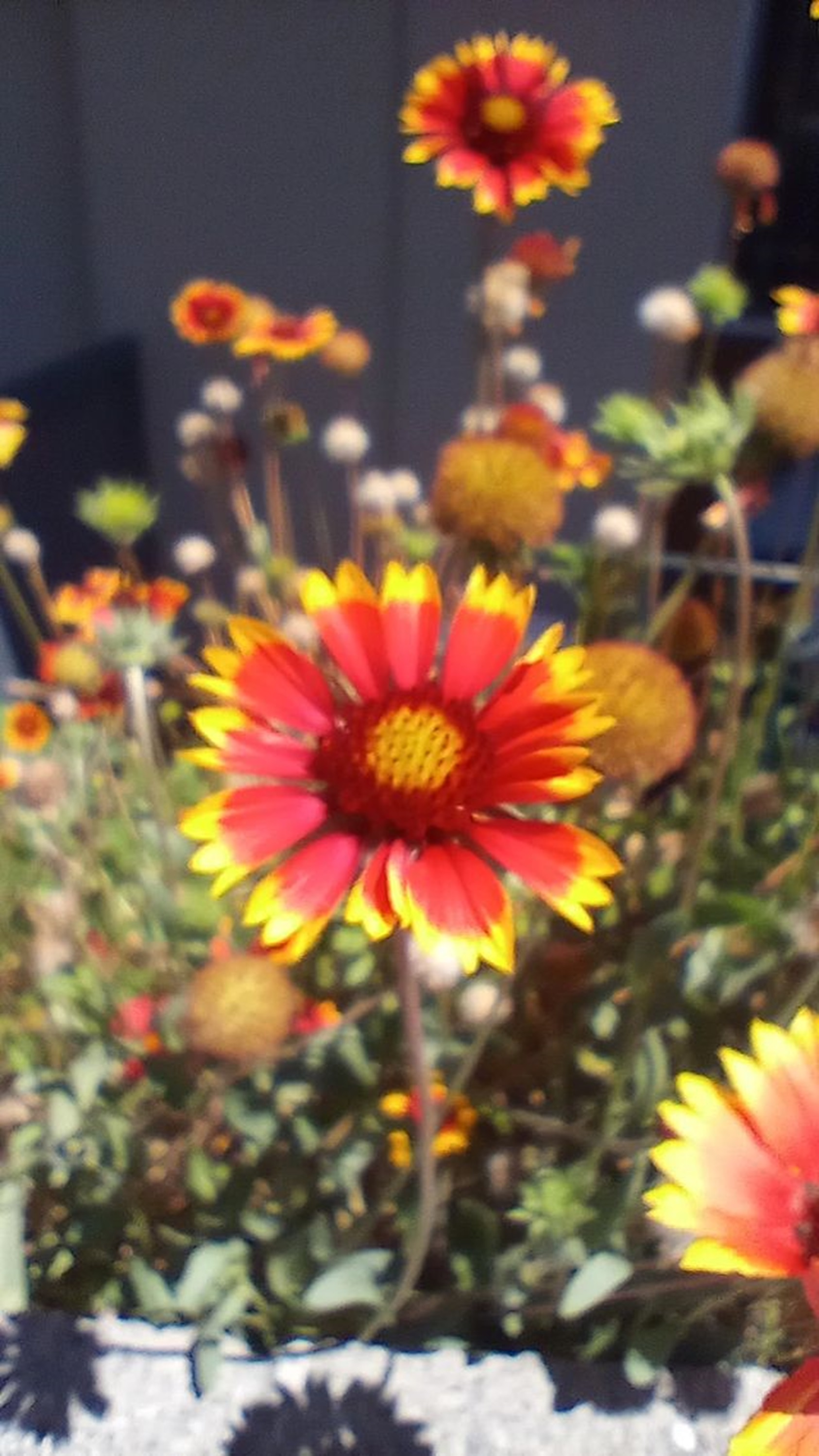 Photo taken by me Photo taken by me