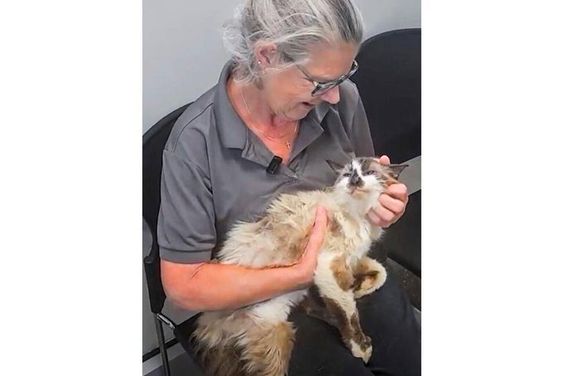 Jennifer Ravenel with her cat reunited in Charleston South Carolina