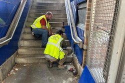 SEPTA employees rescue a cat and her two kittens stuck in a subway wall SEPTA employees rescue a cat and her two kittens stuck in a subway wall