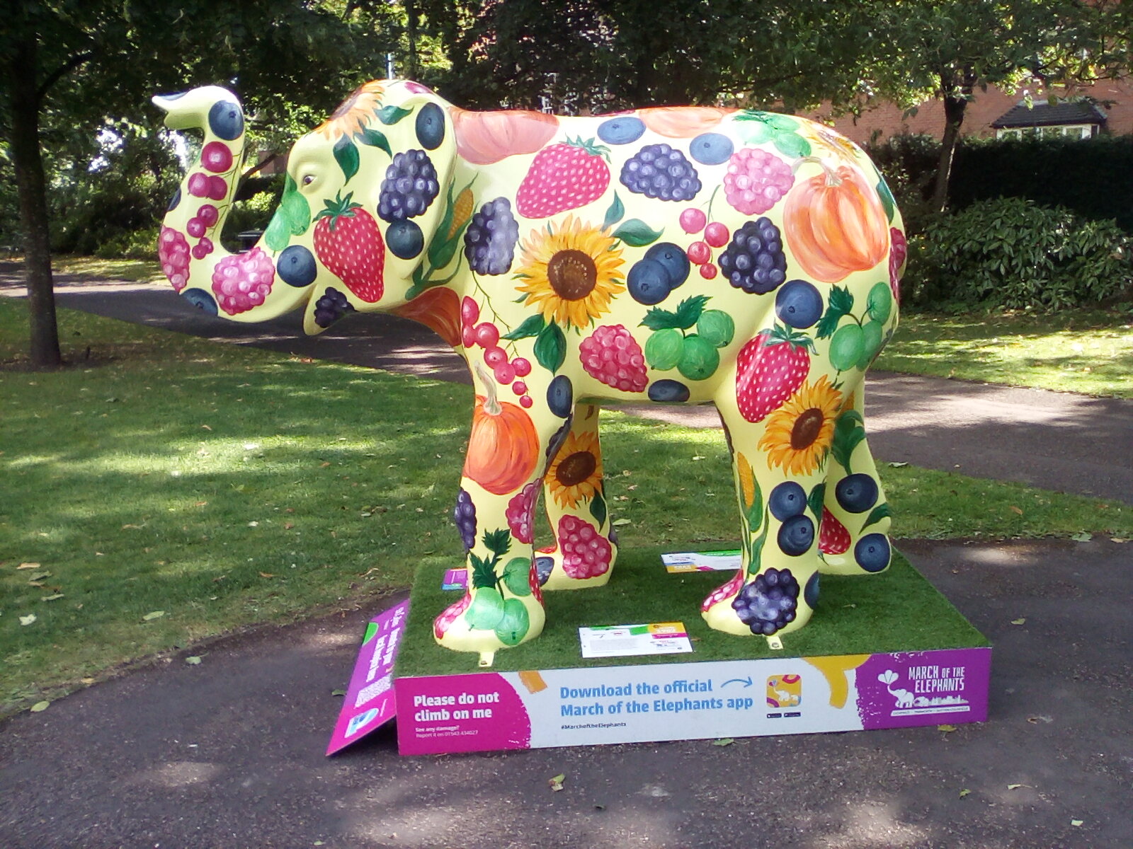 An elephant in Beacon Park.