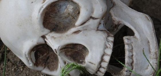 Plastic prop skull found in a beach in Long Beach California Plastic prop skull found in a beach in Long Beach California