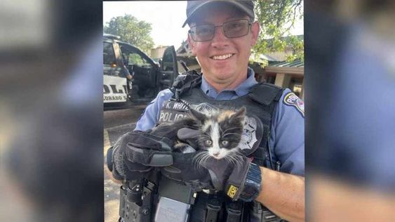 Colorado Springs Police Department rescue a kitten trapped behind a wall