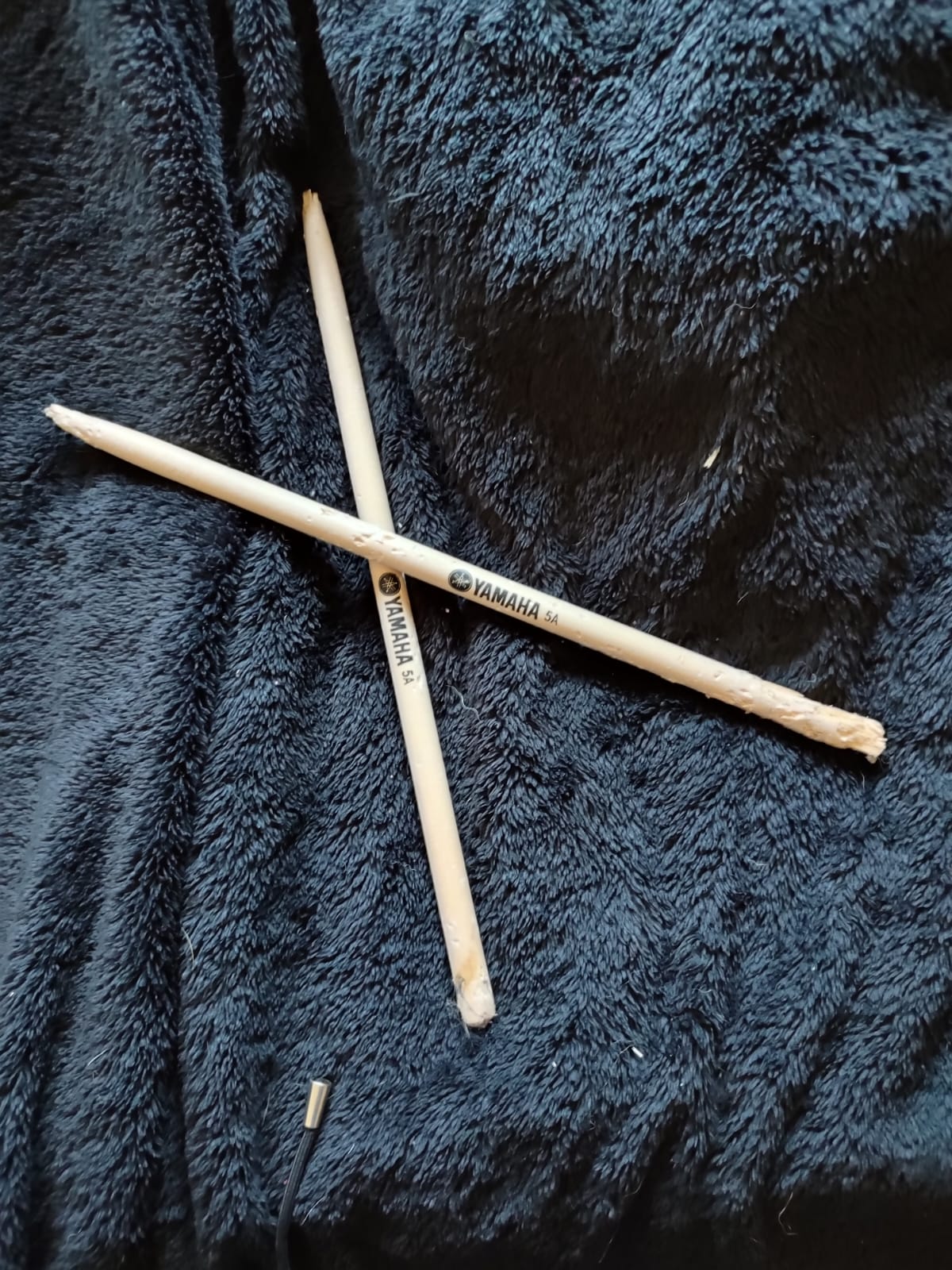 THE DOG ATE THE DRUMSTICKS