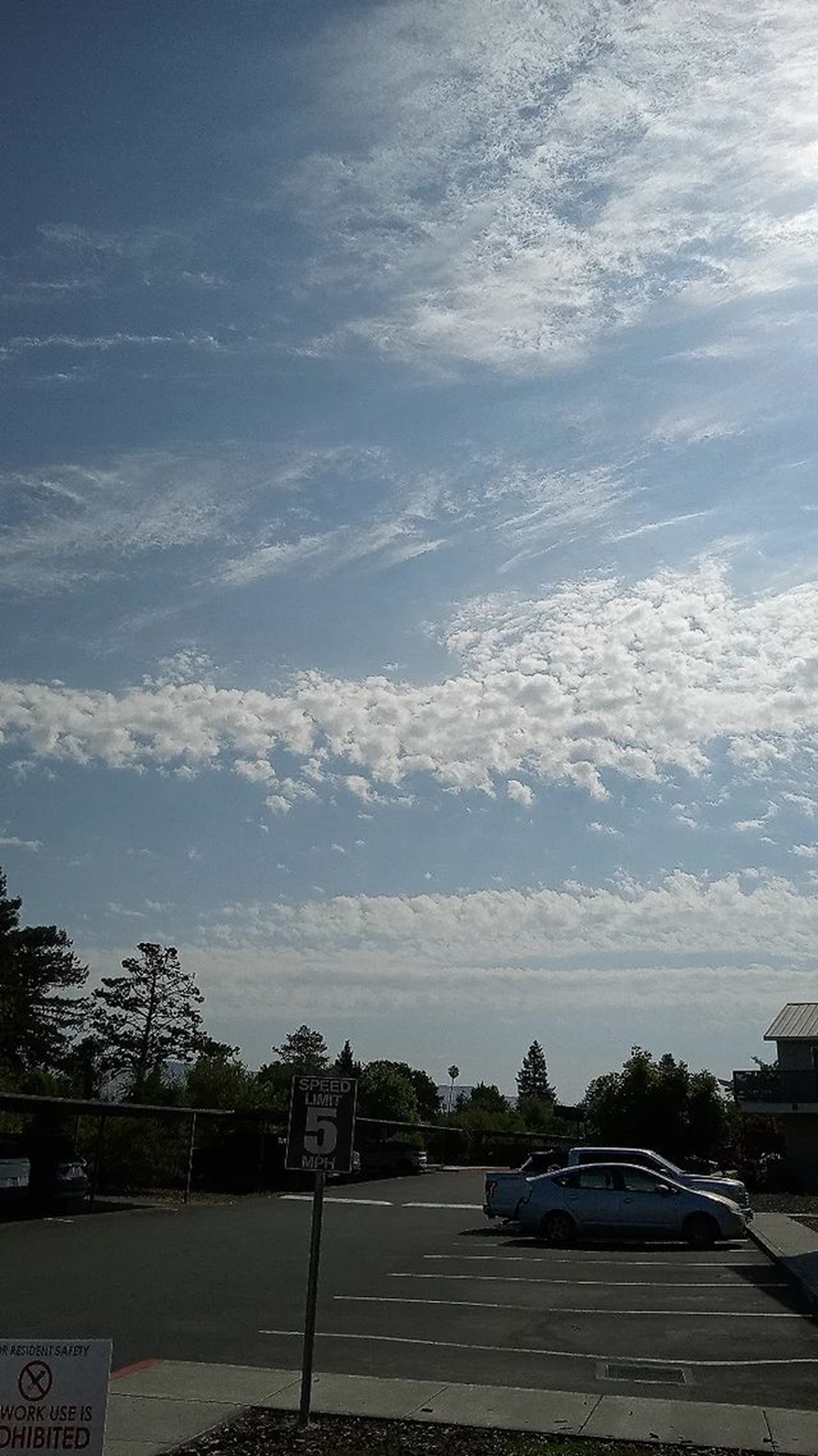 Photo taken by me 7-24-24 Photo taken by me 7-24-24