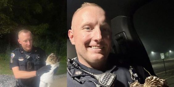 Enfield Police Officer Smith rescues a hawk that was injured in an accident. 