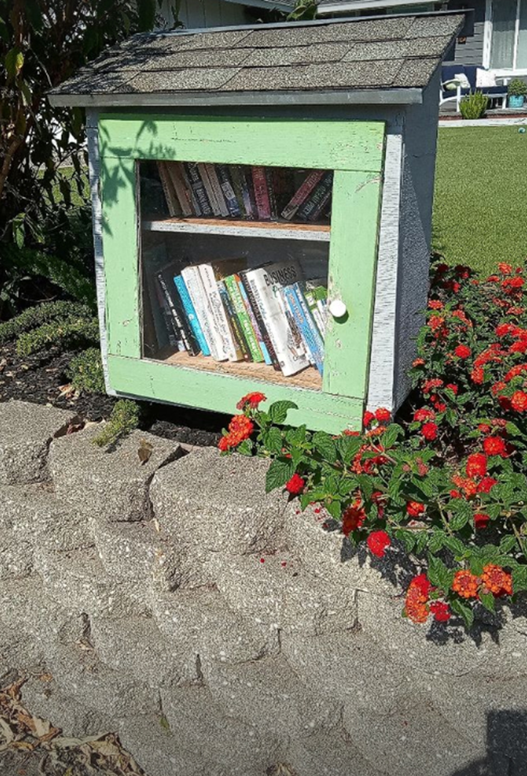 Photo I took of the Little Library I made a deposit in this morning