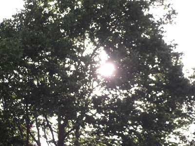 Photo taken by me 2020 Photo taken by me 2020