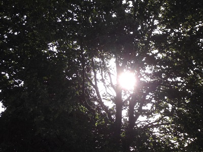 Photo taken by me 5-14-15