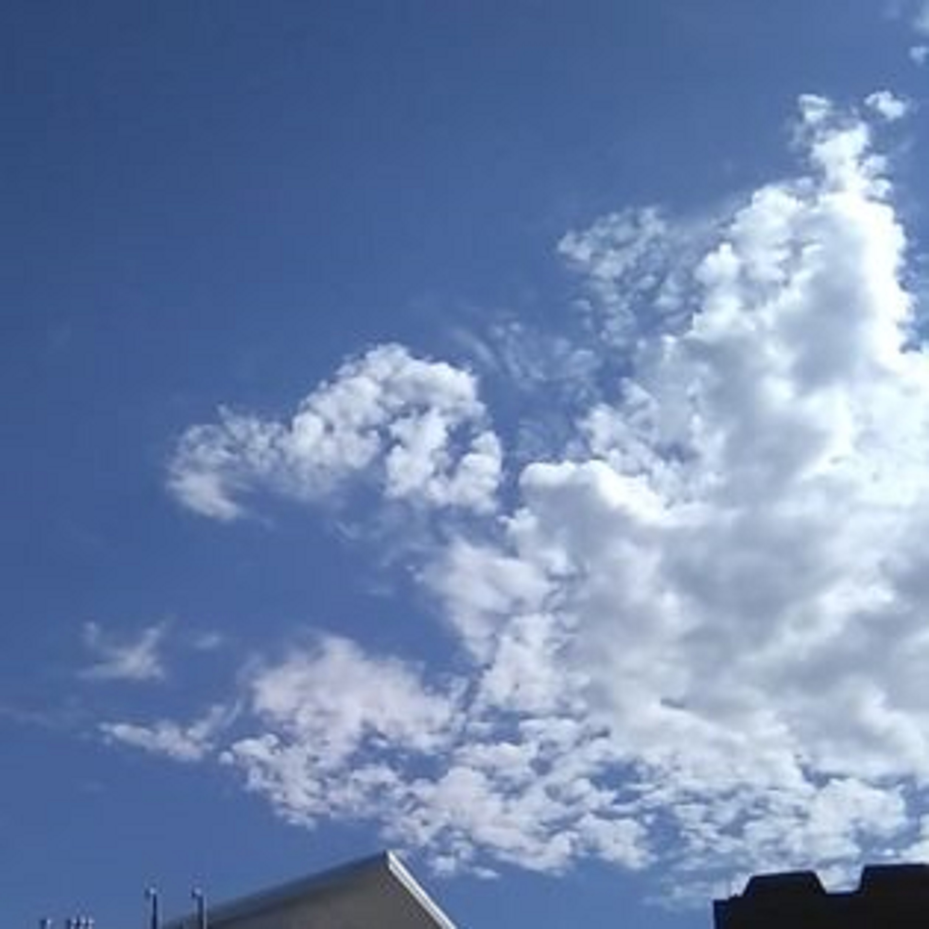 Photo taken by me 8-14-23