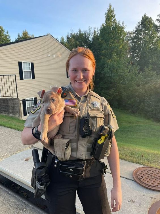 Stafford County Sheriffs Officer Deputy R A Peterson rescues a puppy in VA Stafford County Sheriffs Officer Deputy R A Peterson rescues a puppy in VA