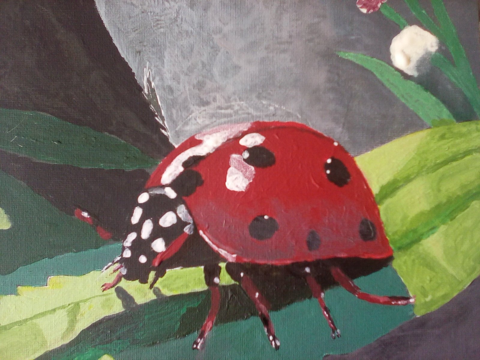 Ladybird acrylic painting. Ladybird acrylic painting.