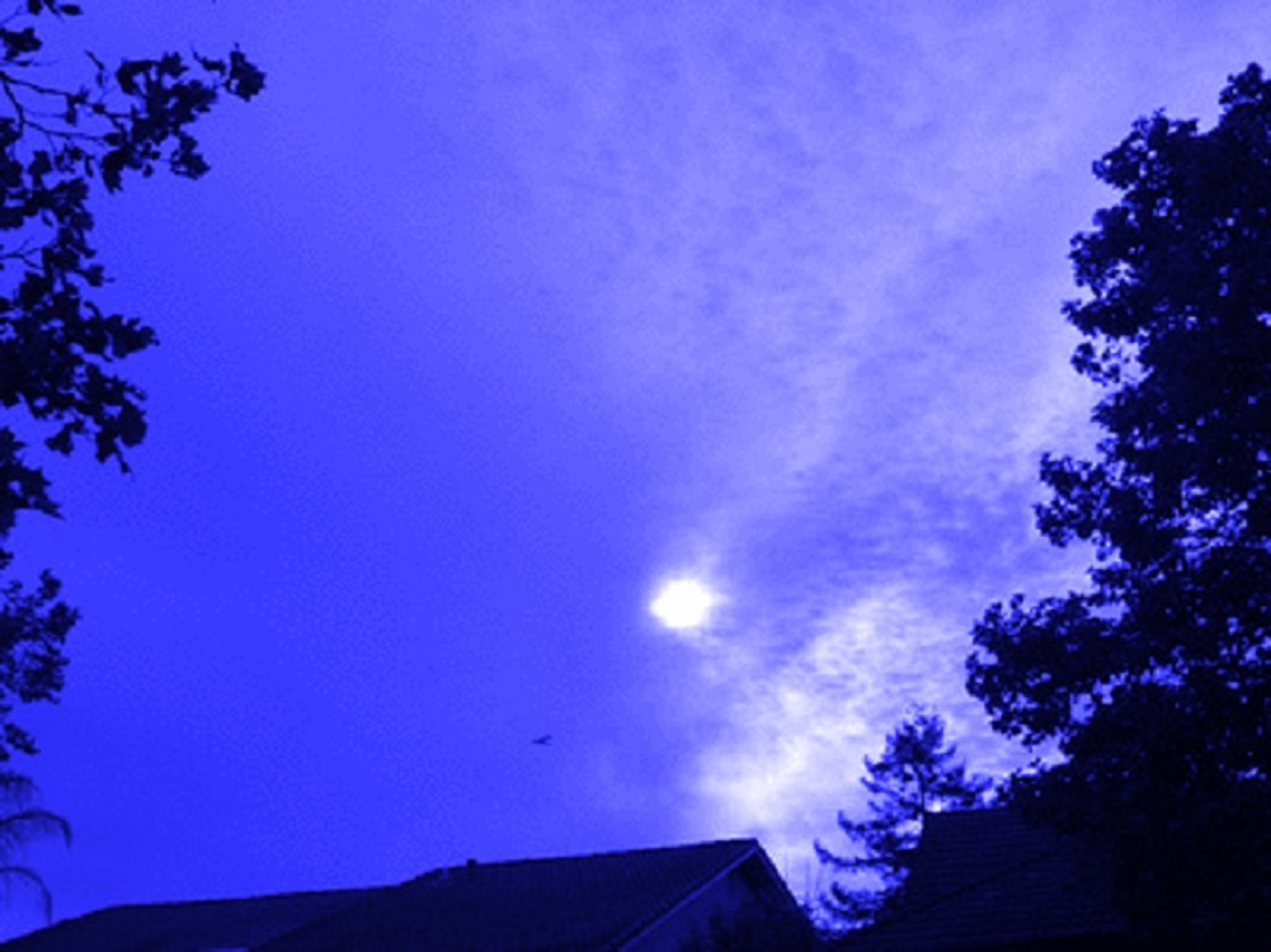 Photo taken by me 8-26-14 w blue tint on LunaPic.com